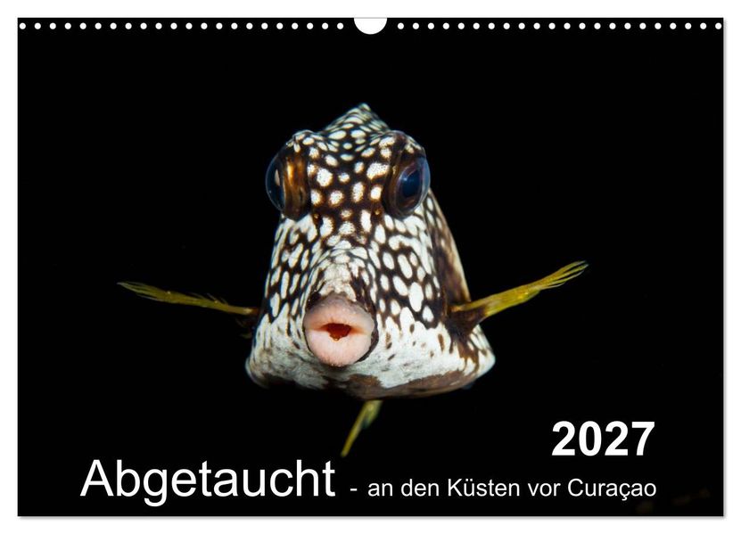 Abgetaucht - an den Küsten vor Curaçao (Wandkalender 2027 DIN A3 quer) CALVENDO Monatskalender
