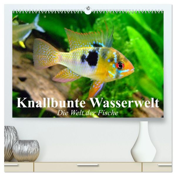 Knallbunte Wasserwelt. Die Welt der Fische (hochwertiger Premium Wandkalender 2027 DIN A2 quer) Kunstdruck in Hochglanz