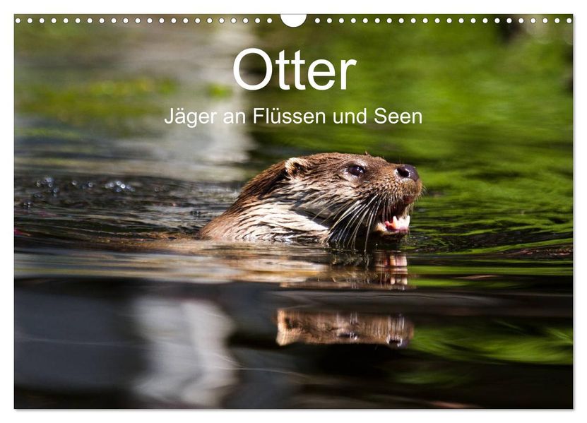 Otter - Jäger an Flüssen und Seen (Wandkalender 2027 DIN A3 quer) CALVENDO Monatskalender