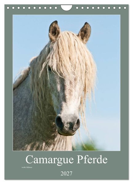 Camargue Pferde - weiße Mähnen (Wandkalender 2027 DIN A4 hoch) CALVENDO Monatskalender