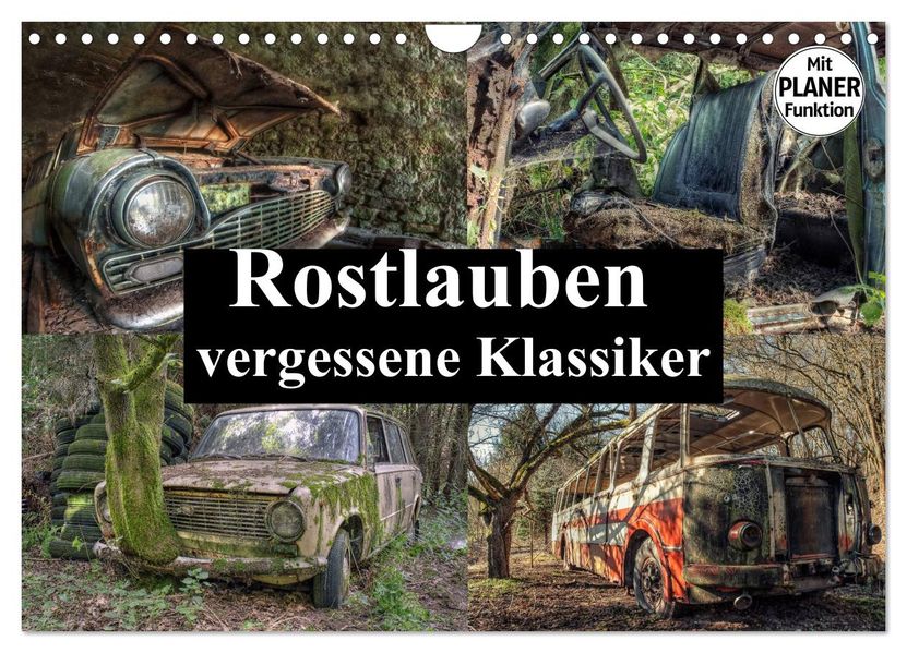 Rostlauben - vergessene Klassiker (Wandkalender 2027 DIN A4 quer) CALVENDO Monatskalender