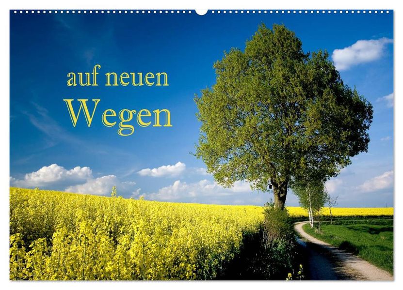 Auf neuen Wegen (Wandkalender 2027 DIN A2 quer) CALVENDO Monatskalender