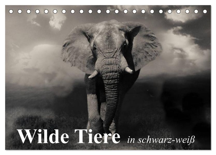 Wilde Tiere in schwarz-weiß (Tischkalender 2027 DIN A5 quer) CALVENDO Monatskalender