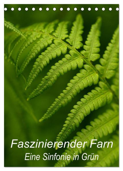 Faszinierender Farn - Eine Sinfonie in Grün (Tischkalender 2027 DIN A5 hoch) CALVENDO Monatskalender