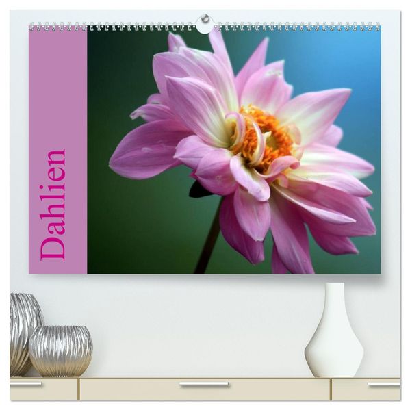 Dahlien (hochwertiger Premium Wandkalender 2027 DIN A2 quer) Kunstdruck in Hochglanz