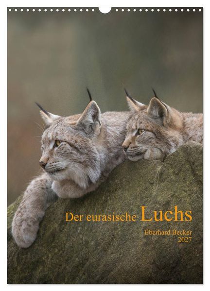 Der eurasische Luchs (Wandkalender 2027 DIN A3 hoch) CALVENDO Monatskalender