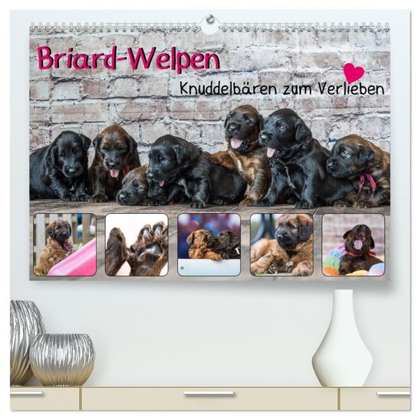 Briard-Welpen - Knuddelbären zum Verlieben (hochwertiger Premium Wandkalender 2027 DIN A2 quer) Kunstdruck in Hochglanz
