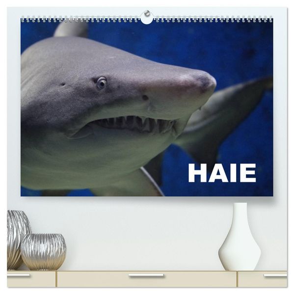 Haie (hochwertiger Premium Wandkalender 2027 DIN A2 quer) Kunstdruck in Hochglanz
