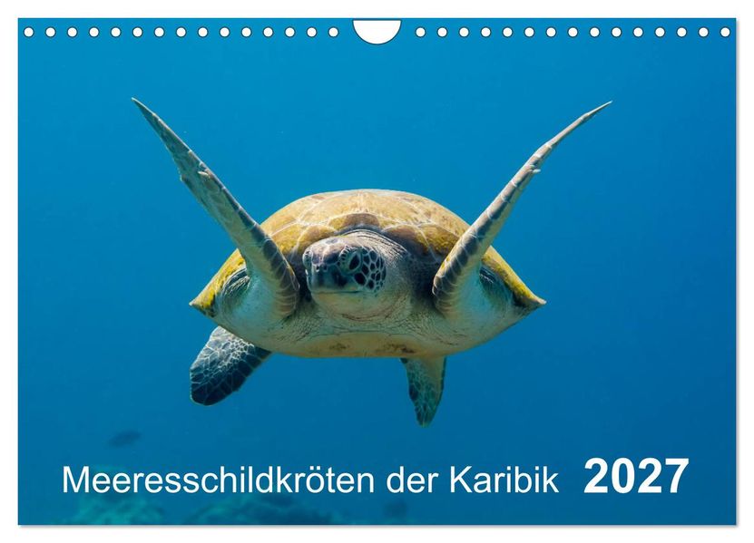 Meeresschildkröten der Karibik (Wandkalender 2027 DIN A4 quer) CALVENDO Monatskalender