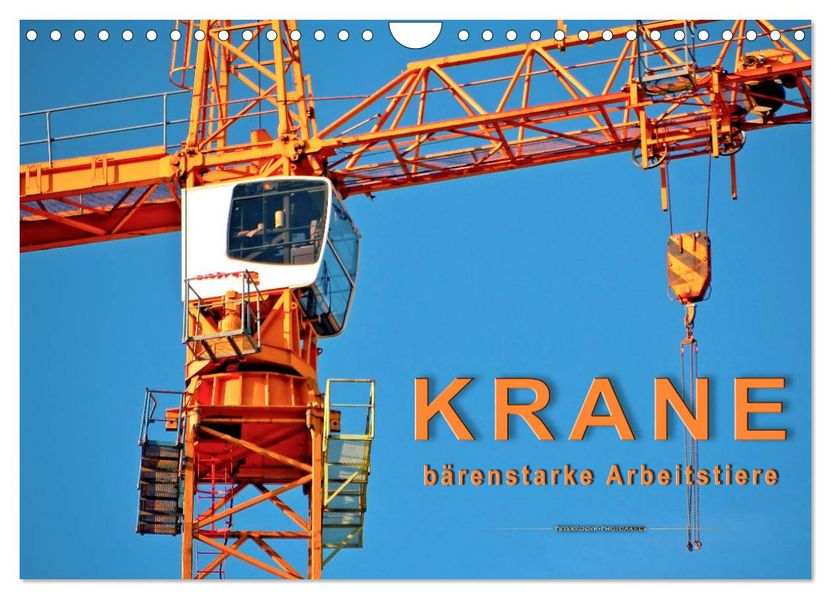 Krane - bärenstarke Arbeitstiere (Wandkalender 2027 DIN A4 quer) CALVENDO Monatskalender