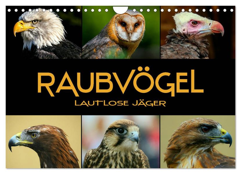 Raubvögel - lautlose Jäger (Wandkalender 2027 DIN A4 quer) CALVENDO Monatskalender