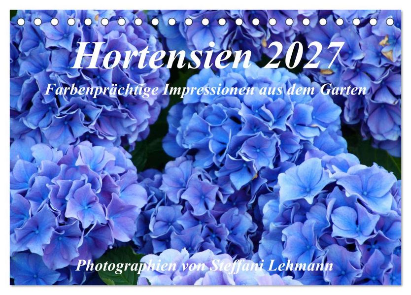 Hortensien 2027. Farbenprächtige Impressionen aus dem Garten (Tischkalender 2027 DIN A5 quer) CALVENDO Monatskalender