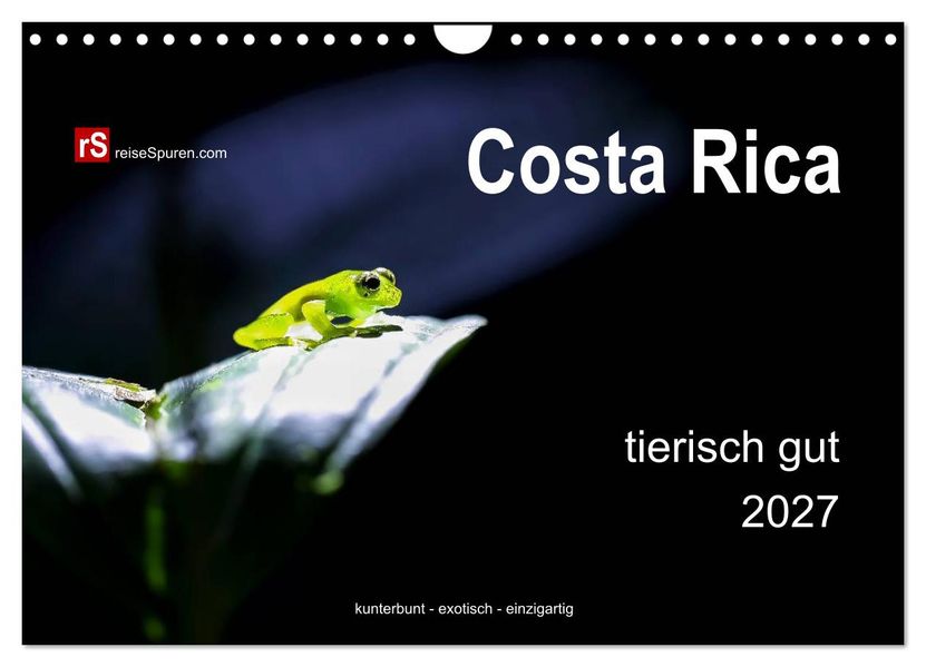 Costa Rica tierisch gut 2027 (Wandkalender 2027 DIN A4 quer) CALVENDO Monatskalender