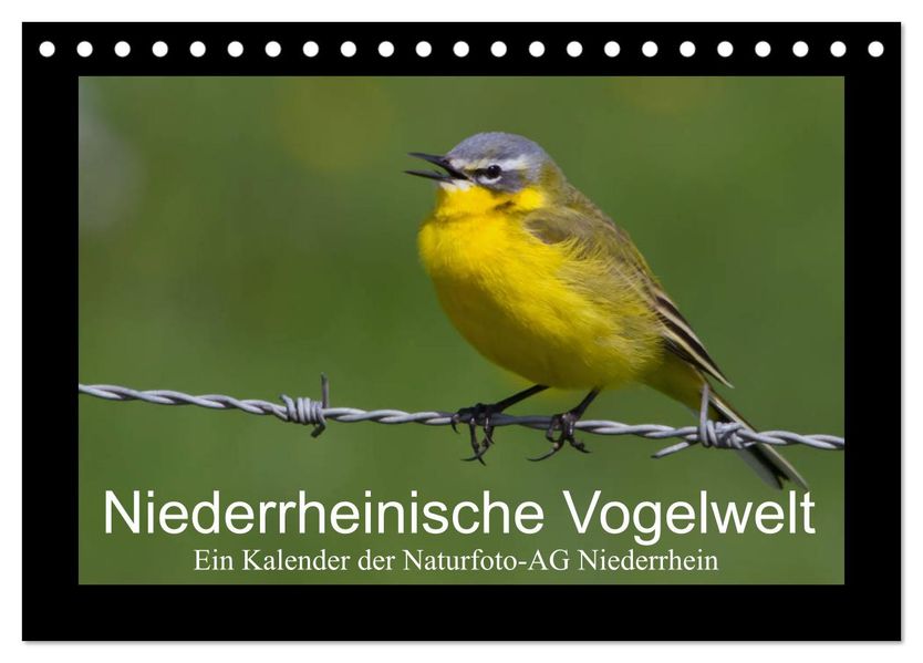 Niederrheinische Vogelwelt (Tischkalender 2027 DIN A5 quer) CALVENDO Monatskalender