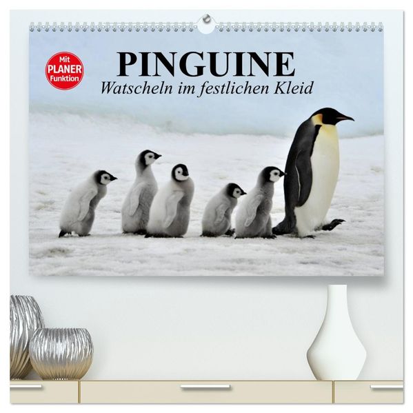 Pinguine - Watscheln im festlichen Kleid (hochwertiger Premium Wandkalender 2027 DIN A2 quer) Kunstdruck in Hochglanz