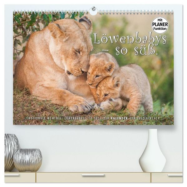 Emotionale Momente: Löwenbabys - so süß. (hochwertiger Premium Wandkalender 2027 DIN A2 quer) Kunstdruck in Hochglanz