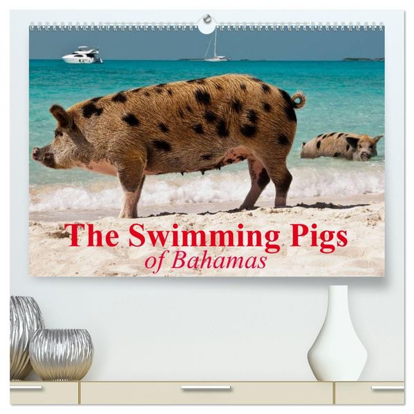 The Swimming Pigs of Bahamas (High Quality Premium Wall Calendar 2027 DIN A2 landscape)CALVENDO 12 Month Wall Calendar