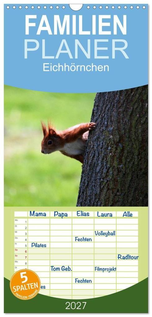 Familienplaner 2027 - Eichhörnchen mit 5 Spalten (Wandkalender 21 x 45 cm) CALVENDO