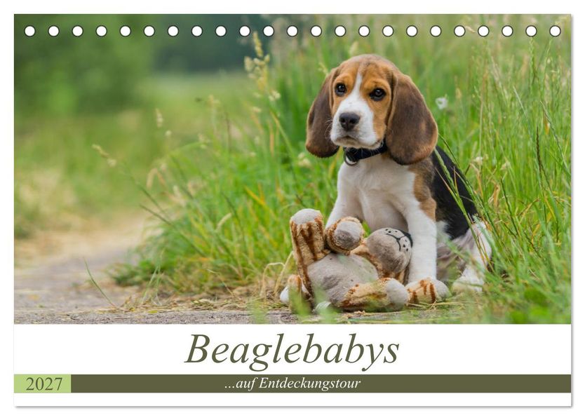 Beaglebabys auf Entdeckungstour (Tischkalender 2027 DIN A5 quer) CALVENDO Monatskalender