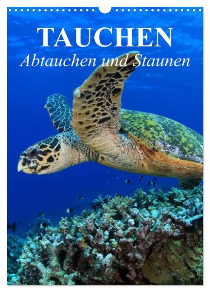 Tauchen - Abtauchen und Staunen (Wandkalender 2027 DIN A3 hoch) CALVENDO Monatskalender