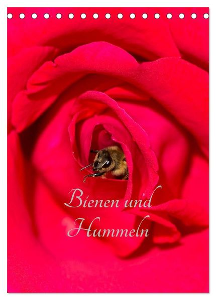 Bienen und Hummeln (Tischkalender 2027 DIN A5 hoch) CALVENDO Monatskalender