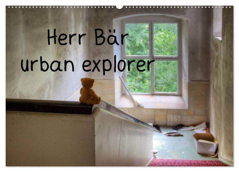 Herr Bär urban explorer (Wandkalender 2027 DIN A2 quer) CALVENDO Monatskalender