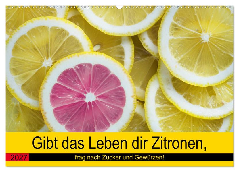 Gibt das Leben dir Zitronen frag nach Zucker und Gewürzen! (Wandkalender 2027 DIN A2 quer) CALVENDO Monatskalender