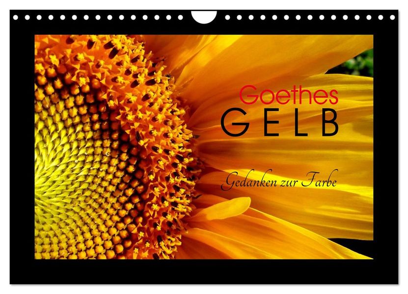 Goethes Gelb Gedanken zur Farbe (Wandkalender 2027 DIN A4 quer) CALVENDO Monatskalender