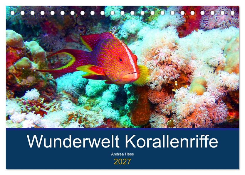 Wunderwelt Korallenriffe (Tischkalender 2027 DIN A5 quer) CALVENDO Monatskalender