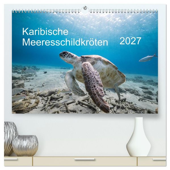 Karibische Meeresschildkröten (hochwertiger Premium Wandkalender 2027 DIN A2 quer) Kunstdruck in Hochglanz