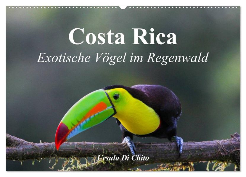 Costa Rica - Exotische Vögel im Regenwald (Wandkalender 2027 DIN A2 quer) CALVENDO Monatskalender