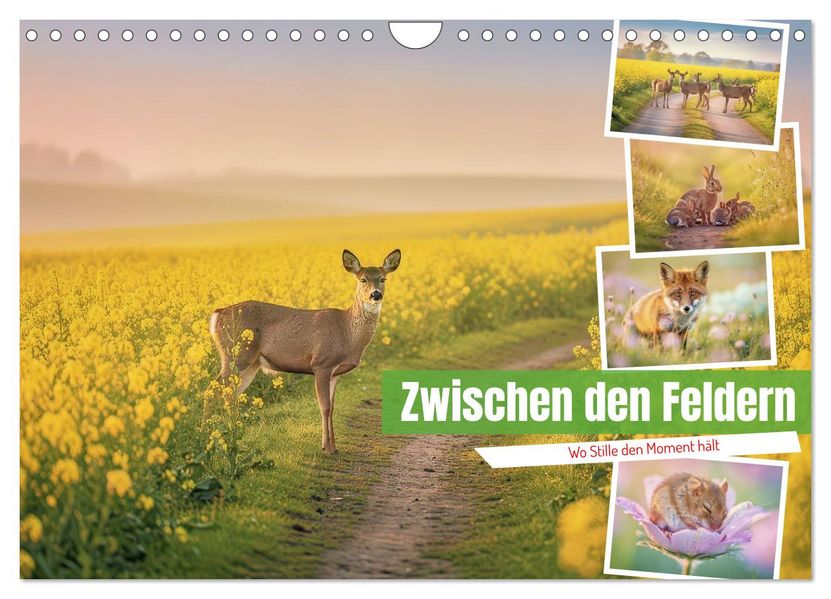 Zwischen den Feldern (Wandkalender 2027 DIN A4 quer) CALVENDO Monatskalender