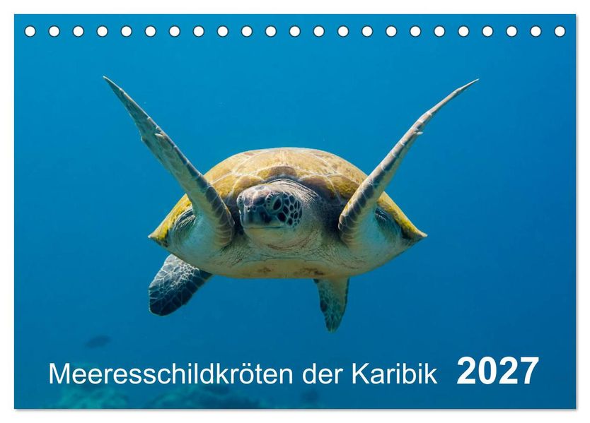 Meeresschildkröten der Karibik (Tischkalender 2027 DIN A5 quer) CALVENDO Monatskalender