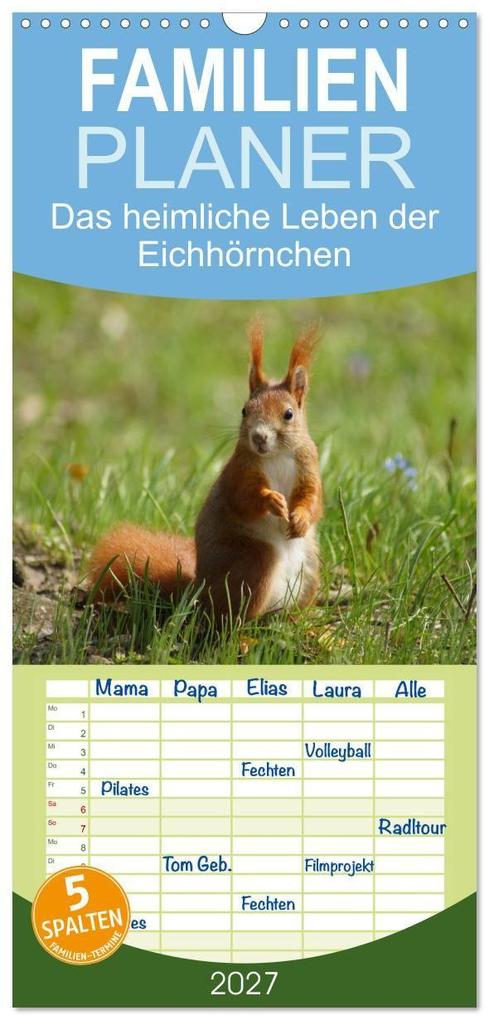 Familienplaner 2027 - Das heimliche Leben der Eichhörnchen mit 5 Spalten (Wandkalender 21 x 45 cm) CALVENDO