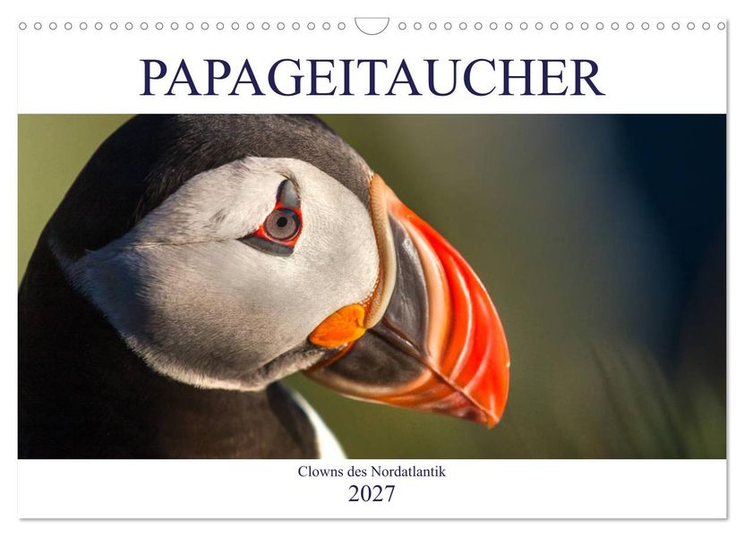 Papageitaucher: Clowns des Nordatlantik (Wandkalender 2027 DIN A3 quer) CALVENDO Monatskalender