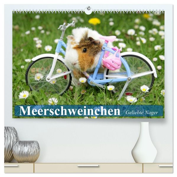 Meerschweinchen. Geliebte Nager (hochwertiger Premium Wandkalender 2027 DIN A2 quer) Kunstdruck in Hochglanz