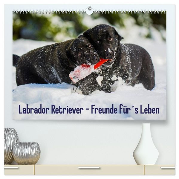 Labrador Retriever - Freunde fürs Leben (hochwertiger Premium Wandkalender 2027 DIN A2 quer) Kunstdruck in Hochglanz