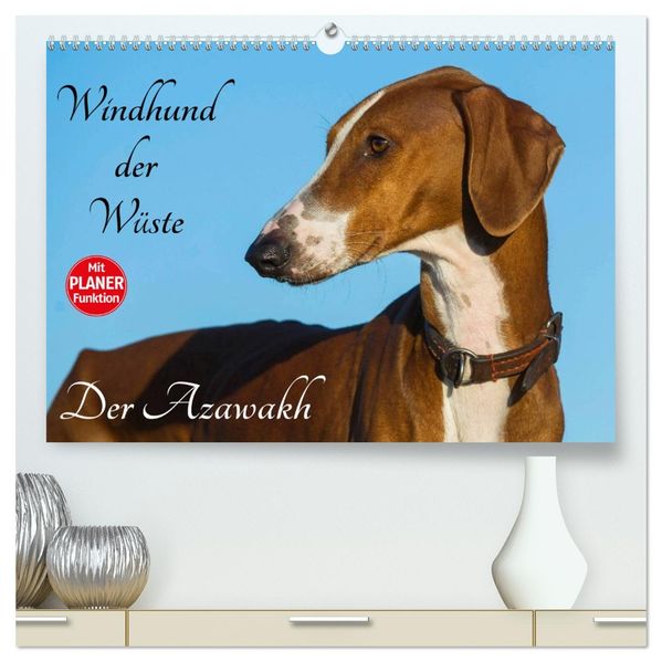 Windhund der Wüste - Der Azawakh (hochwertiger Premium Wandkalender 2027 DIN A2 quer) Kunstdruck in Hochglanz