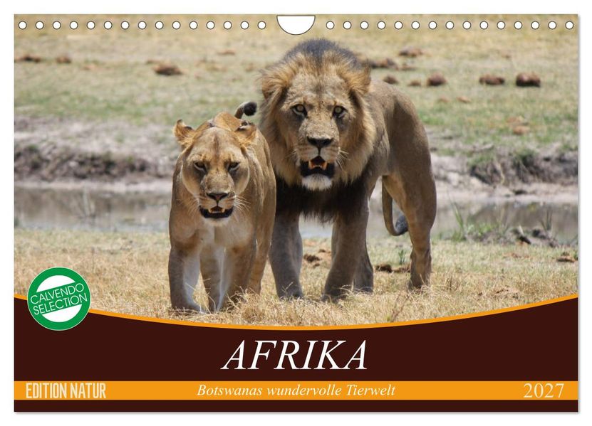 Afrika. Botswanas wundervolle Tierwelt (Wandkalender 2027 DIN A4 quer) CALVENDO Monatskalender
