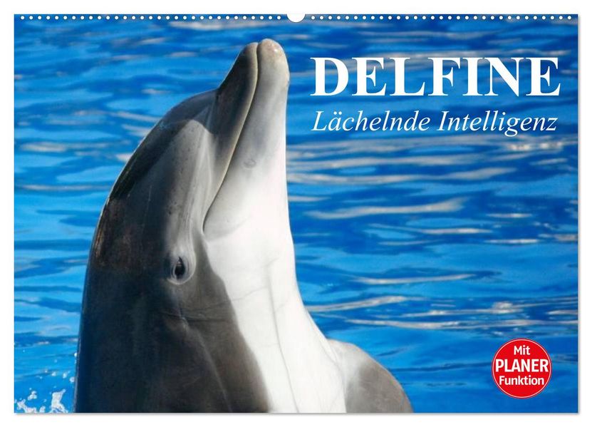 Delfine - Lächelnde Intelligenz (Wandkalender 2027 DIN A2 quer) CALVENDO Monatskalender
