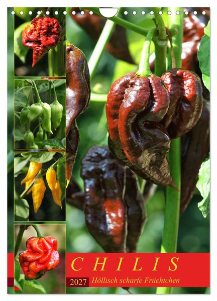 Chilis - Höllisch scharfe Früchtchen (Wandkalender 2027 DIN A4 hoch) CALVENDO Monatskalender