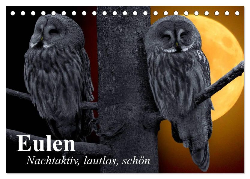 Eulen. Nachtaktiv lautlos schön (Tischkalender 2027 DIN A5 quer) CALVENDO Monatskalender