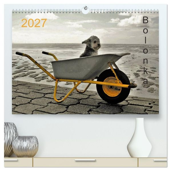 Bolonka 2027 (hochwertiger Premium Wandkalender 2027 DIN A2 quer) Kunstdruck in Hochglanz