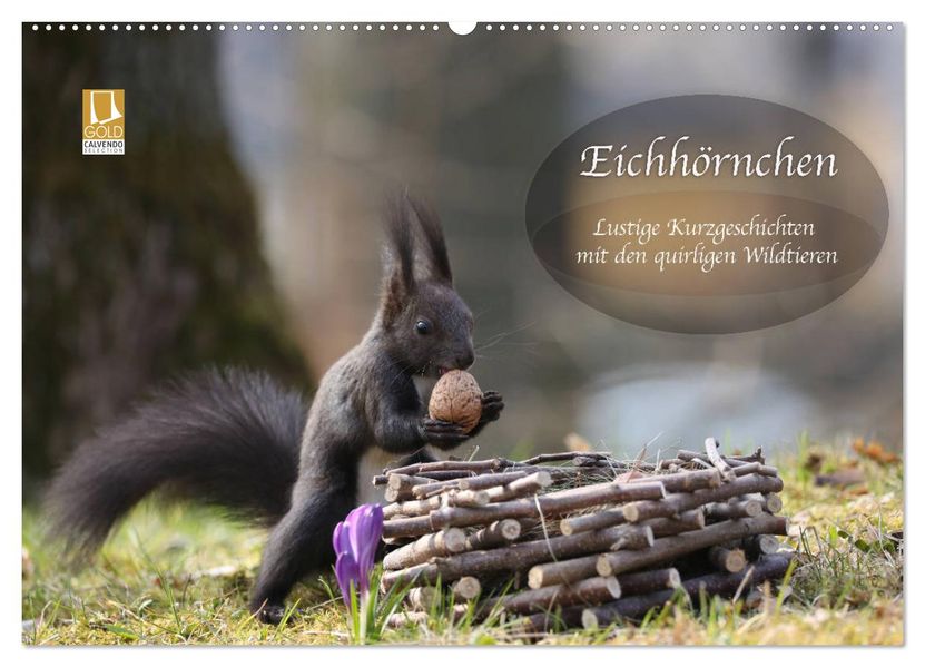 Eichhörnchen - Lustige Kurzgeschichten mit den quirligen Wildtieren (Wandkalender 2027 DIN A2 quer) CALVENDO Monatskalender