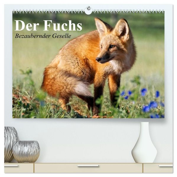 Der Fuchs. Bezaubernder Geselle (hochwertiger Premium Wandkalender 2027 DIN A2 quer) Kunstdruck in Hochglanz