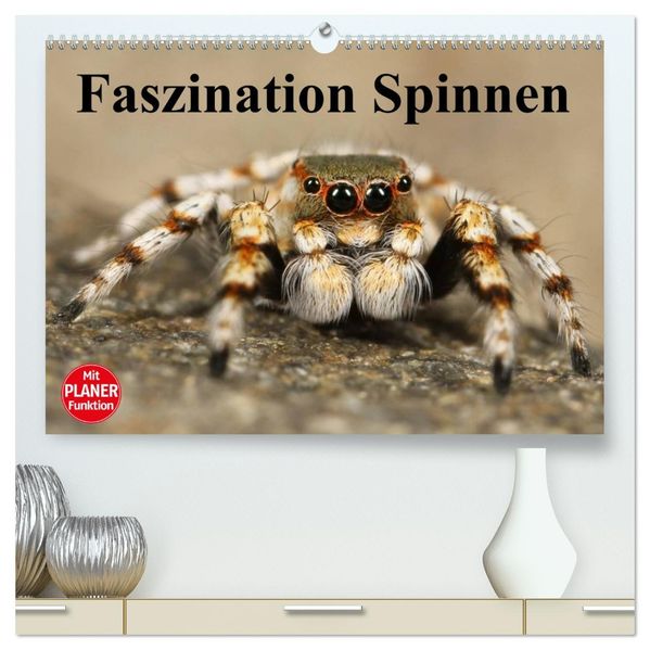 Faszination Spinnen (hochwertiger Premium Wandkalender 2027 DIN A2 quer) Kunstdruck in Hochglanz