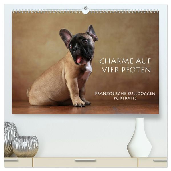 Charme auf vier Pfoten - Französische Bulldoggen Portraits (hochwertiger Premium Wandkalender 2027 DIN A2 quer) Kunstdruck in Hochglanz