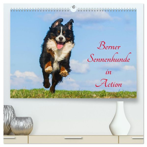 Berner Sennenhunde in Action (hochwertiger Premium Wandkalender 2027 DIN A2 quer) Kunstdruck in Hochglanz
