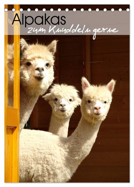 Alpakas zum Knuddeln gerne (Tischkalender 2027 DIN A5 hoch) CALVENDO Monatskalender