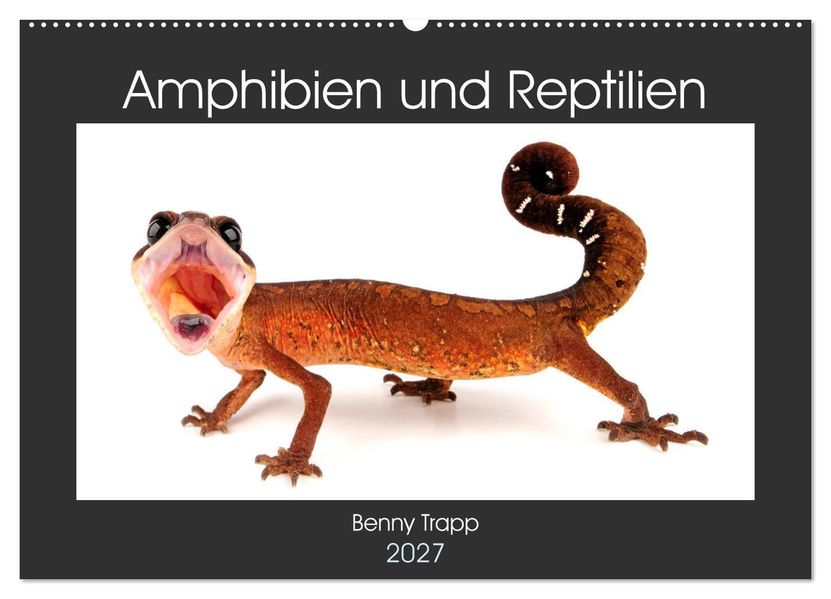 Amphibien und Reptilien (Wandkalender 2027 DIN A2 quer) CALVENDO Monatskalender